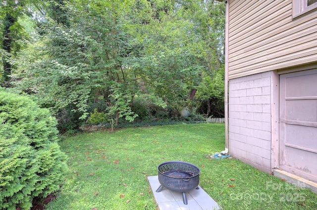 207 Buncombe St, Hendersonville, NC 28739 - view of green lawn