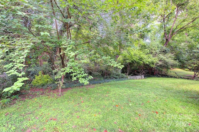 207 Buncombe St, Hendersonville, NC 28739 - view of grassy yard