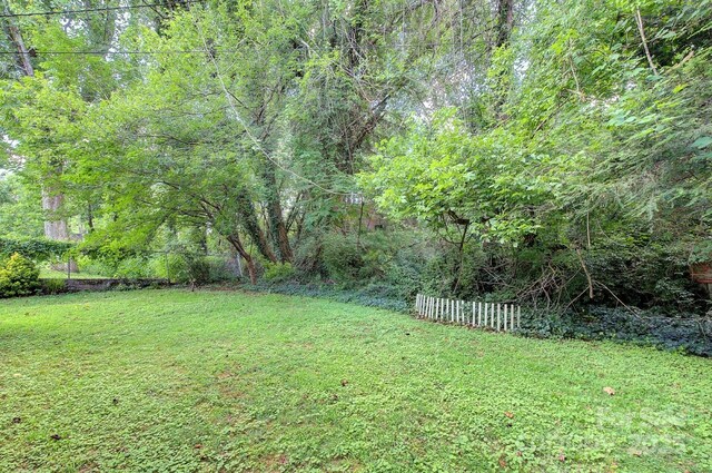 207 Buncombe St, Hendersonville, NC 28739 - view of yard with a view of trees