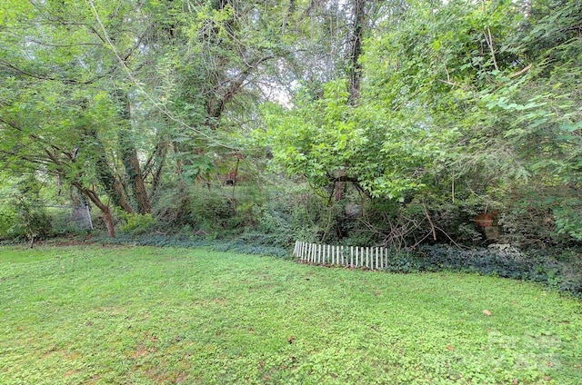 207 Buncombe St, Hendersonville, NC 28739 - view of yard featuring a wooded view