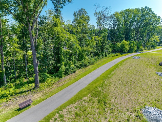 3849 Carl Parmer Dr, Harrisburg, NC 28075 - photo 30
