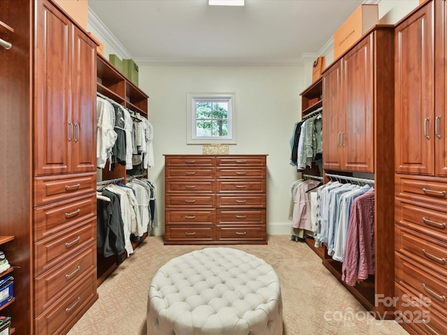 9000 Whirlaway Ln, Waxhaw, NC 28173 - photo 18