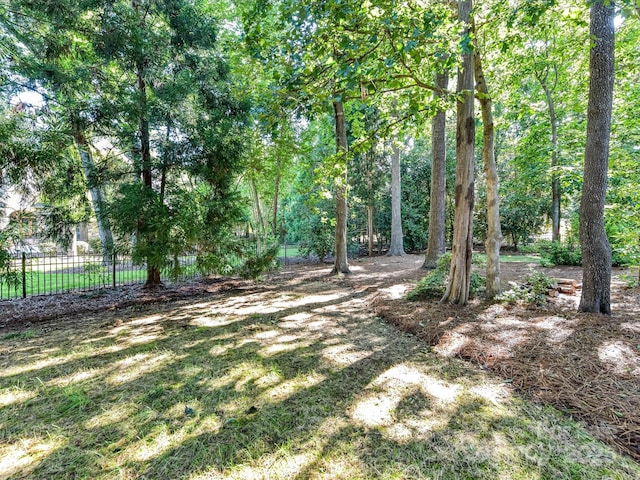9000 Whirlaway Ln, Waxhaw, NC 28173 - photo 41
