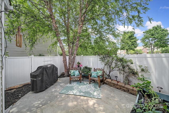 918 Kite Dr, Fort Mill, SC 29715 - photo 29