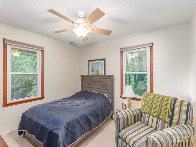 57 Chateau Pl, Waynesville, NC 28785 - photo 17