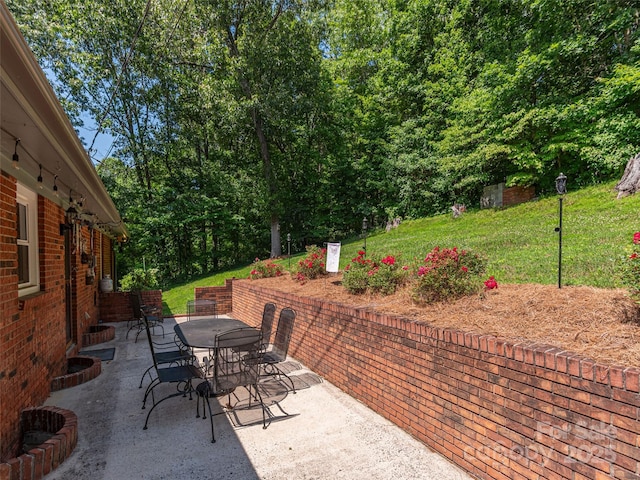 57 Chateau Pl, Waynesville, NC 28785 - photo 29