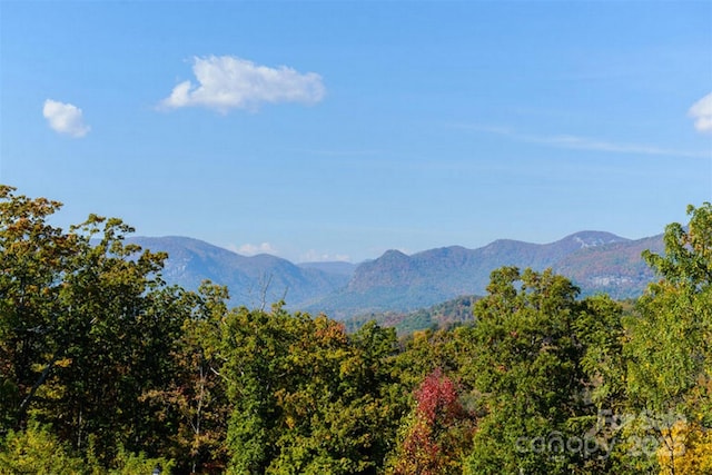 241 Rock Ledge Dr, Lake Lure, NC 28746