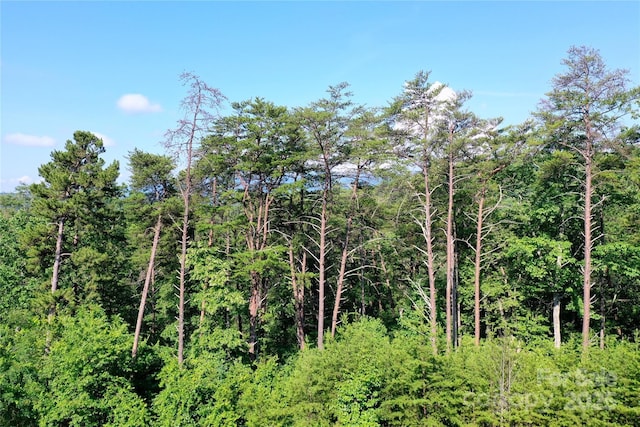 241 Rock Ledge Dr, Lake Lure, NC 28746
