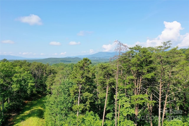 241 Rock Ledge Dr, Lake Lure, NC 28746
