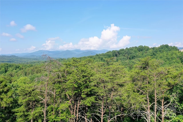 241 Rock Ledge Dr, Lake Lure, NC 28746