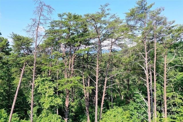 241 Rock Ledge Dr, Lake Lure, NC 28746