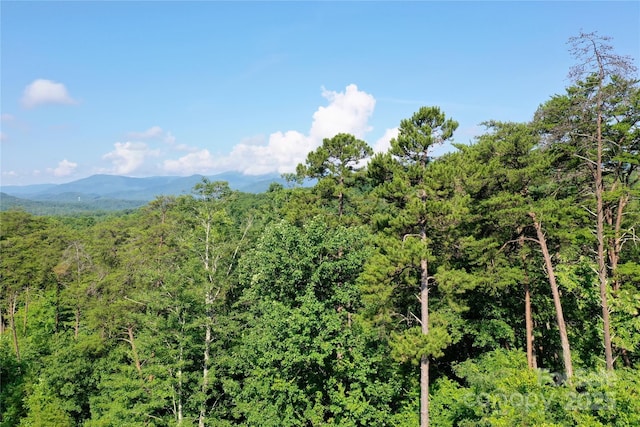 241 Rock Ledge Dr, Lake Lure, NC 28746