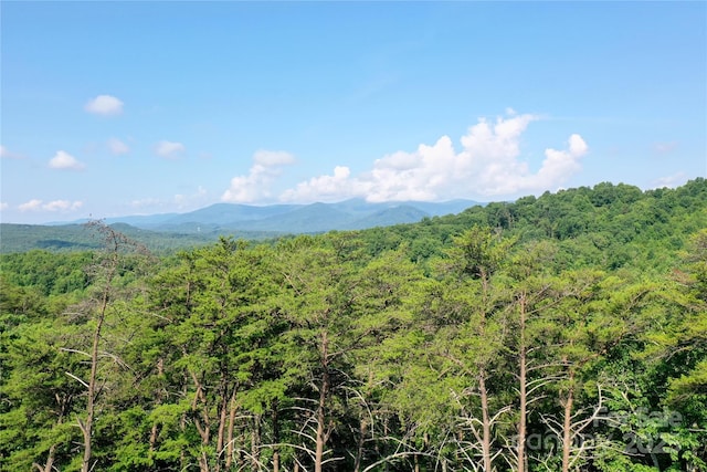 241 Rock Ledge Dr, Lake Lure, NC 28746