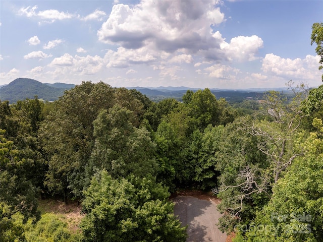 61 Arabella Ln, Arden, NC 28704