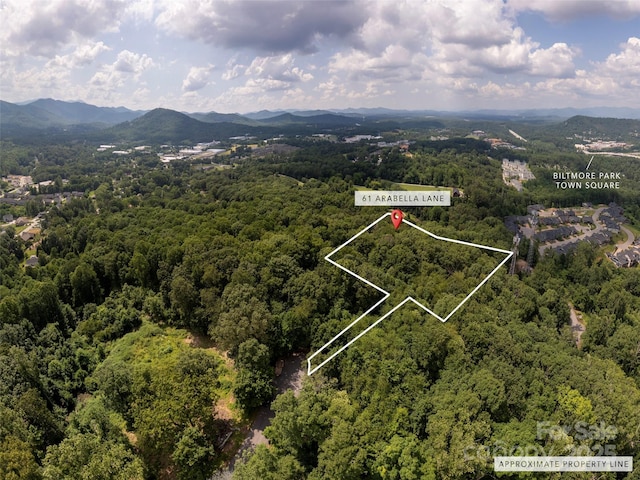 61 Arabella Ln, Arden, NC 28704