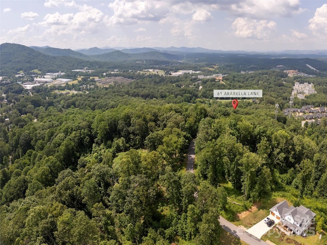 61 Arabella Ln, Arden, NC 28704