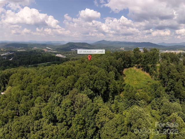 61 Arabella Ln, Arden, NC 28704