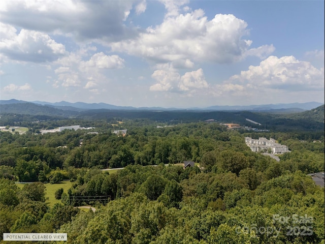 61 Arabella Ln, Arden, NC 28704