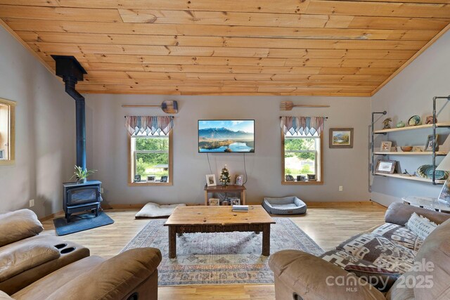 442 Blantyre Church Rd, Horse Shoe, NC 28742 - living area featuring wood ceiling, a wood stove, wood finished floors, and lofted ceiling