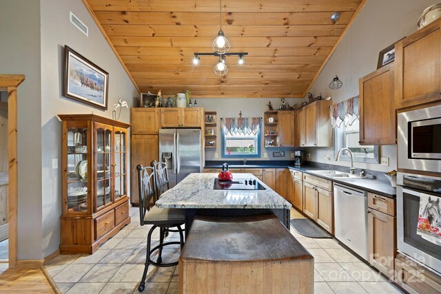 442 Blantyre Church Rd, Horse Shoe, NC 28742 - kitchen with stainless steel appliances, open shelves, lofted ceiling, wooden ceiling, and a center island