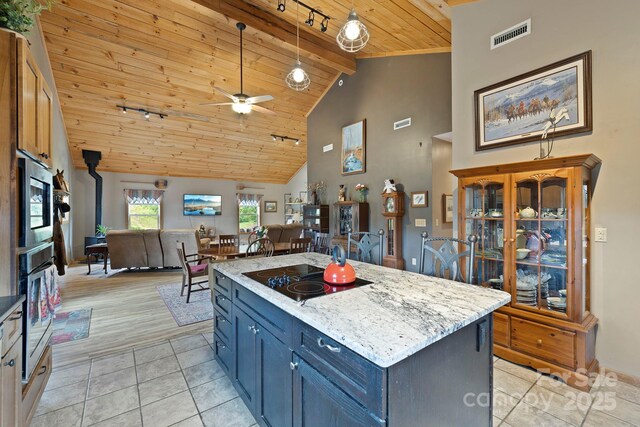 442 Blantyre Church Rd, Horse Shoe, NC 28742 - kitchen featuring a wood ceiling with exposed beams, stainless steel appliances, ceiling fan, rail lighting, and open floor plan