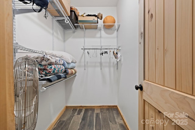 442 Blantyre Church Rd, Horse Shoe, NC 28742 - walk in closet featuring dark wood-style flooring
