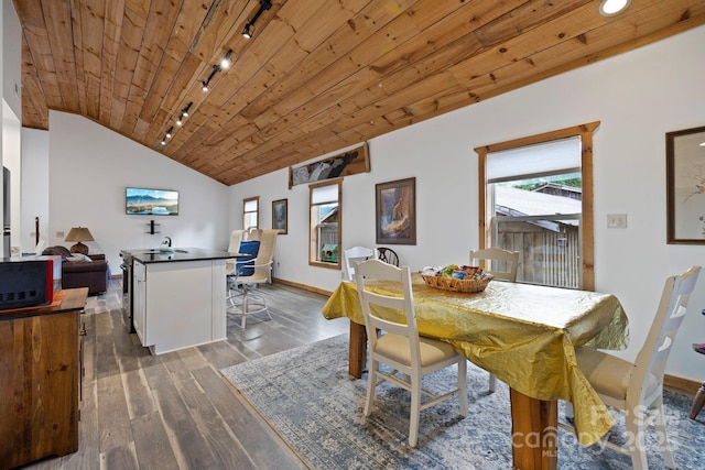 442 Blantyre Church Rd, Horse Shoe, NC 28742 - dining space with rail lighting, wood ceiling, plenty of natural light, dark wood finished floors, and vaulted ceiling