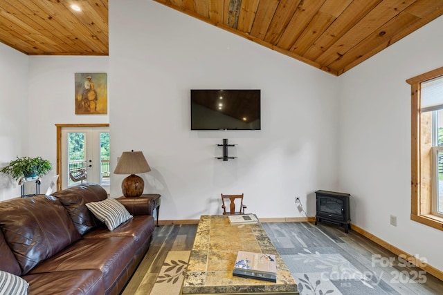 442 Blantyre Church Rd, Horse Shoe, NC 28742 - living area with a wood stove, wood finished floors, wooden ceiling, healthy amount of natural light, and lofted ceiling