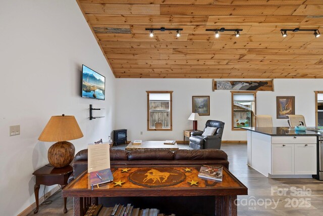442 Blantyre Church Rd, Horse Shoe, NC 28742 - living room featuring track lighting, wooden ceiling, wood finished floors, and vaulted ceiling