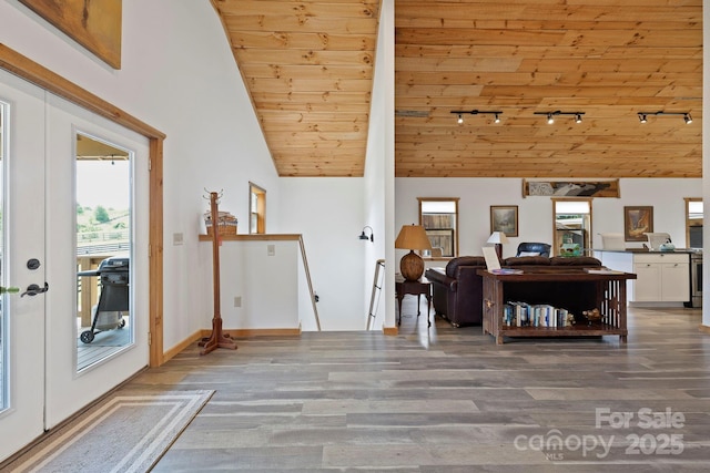 442 Blantyre Church Rd, Horse Shoe, NC 28742 - living room featuring rail lighting, wood ceiling, healthy amount of natural light, wood finished floors, and lofted ceiling