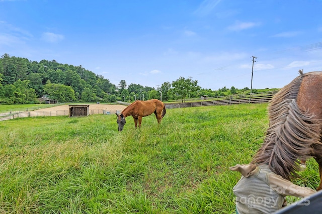 442 Blantyre Church Rd, Horse Shoe, NC 28742 - view of yard featuring a rural view and an enclosed riding area
