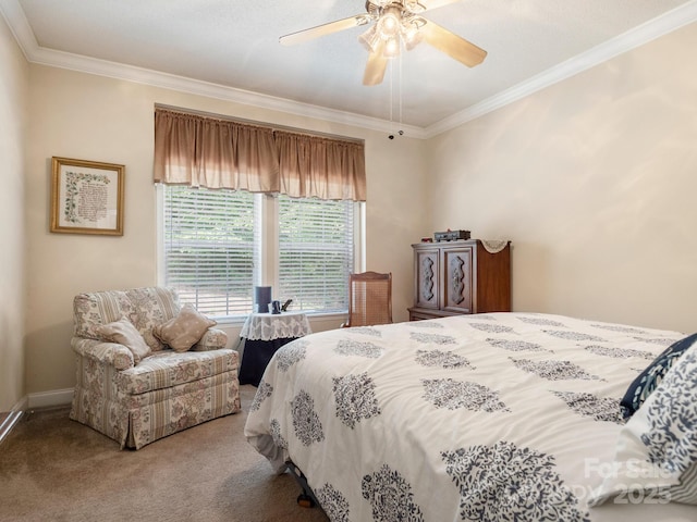 66 Condor Ct Unit 19, Hendersonville, NC 28792 - photo 18