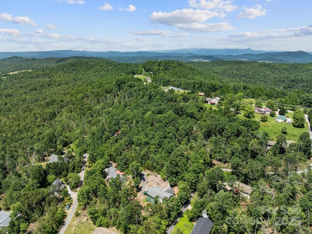 66 Condor Ct Unit 19, Hendersonville, NC 28792 - photo 37