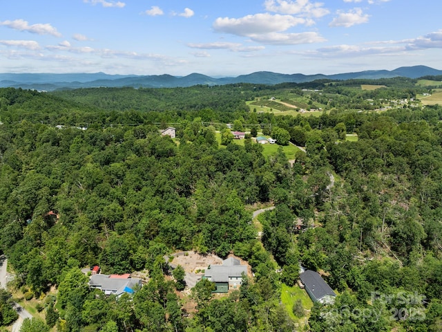 66 Condor Ct Unit 19, Hendersonville, NC 28792 - photo 40
