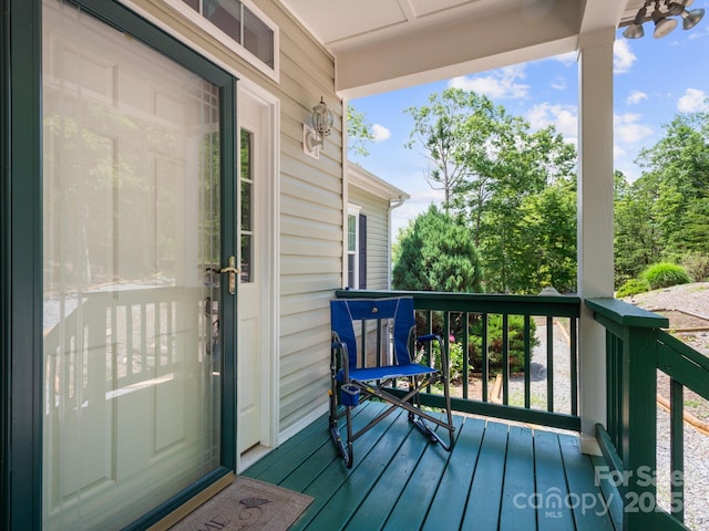 66 Condor Ct Unit 19, Hendersonville, NC 28792 - photo 44