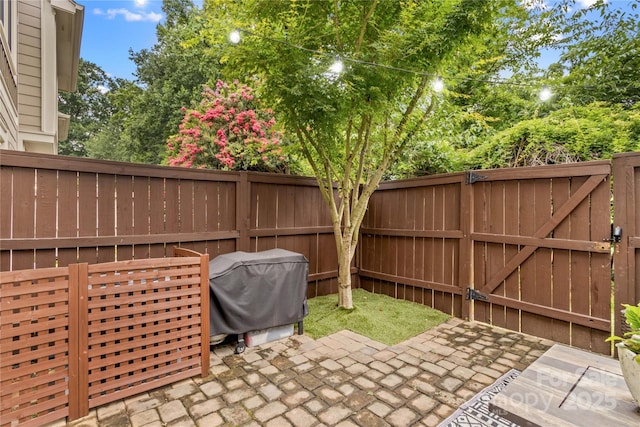 1013 Park W Dr Unit 5, Charlotte, NC 28209 - photo 32