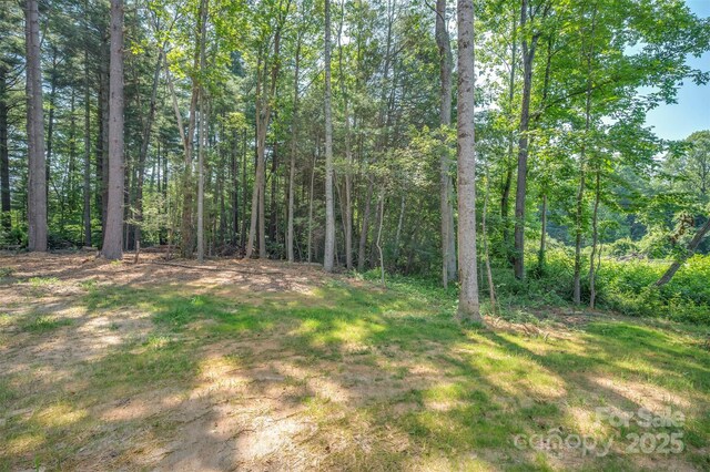 314 Mine Gap Rd, East Flat Rock, NC 28726 - photo 24