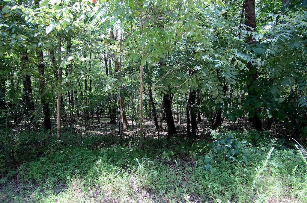 00 Woodchuck Ln Unit 18, Marion, NC 28752 - photo 2