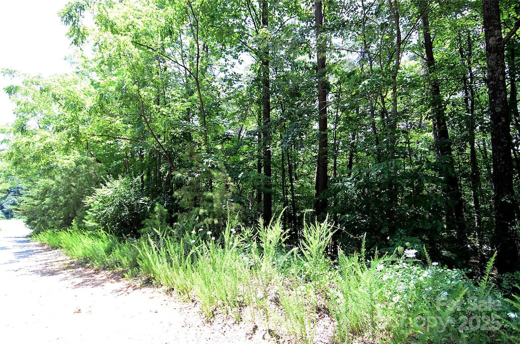 00 Woodchuck Ln Unit 18, Marion, NC 28752 - photo 3