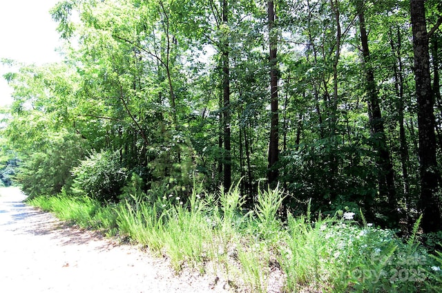 00 Woodchuck Ln Unit 18, Marion, NC 28752 - photo 3