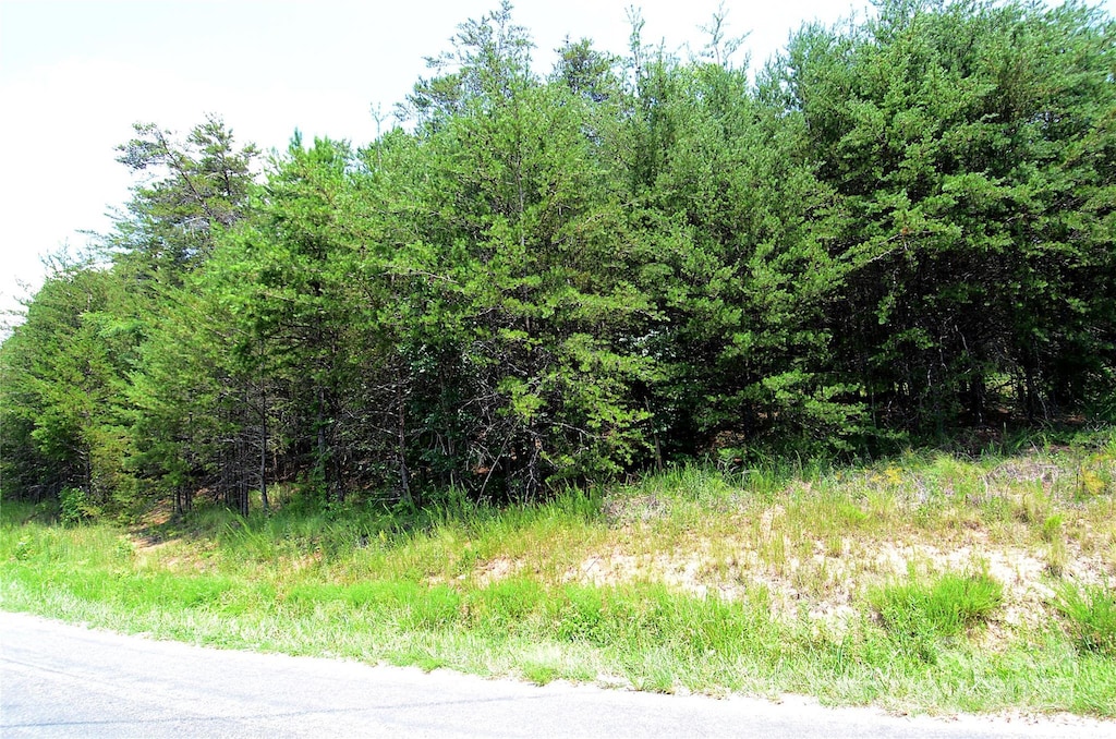 00 Woodchuck Ln Unit 18, Marion, NC 28752 - photo 4