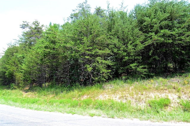 00 Woodchuck Ln Unit 18, Marion, NC 28752 - photo 4