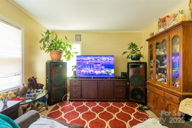 3037 Marlowe Ave, Charlotte, NC 28208 - view of living area