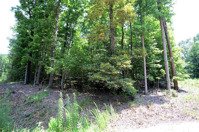 00 Woodchuck Ln Unit 103, Marion, NC 28752 - photo 3