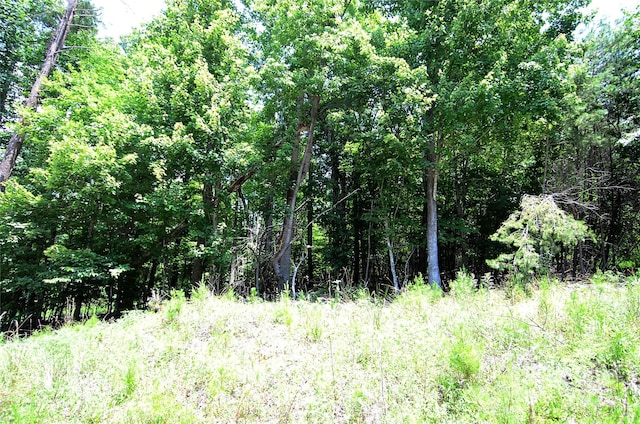 00 Woodchuck Ln Unit 103, Marion, NC 28752 - photo 4