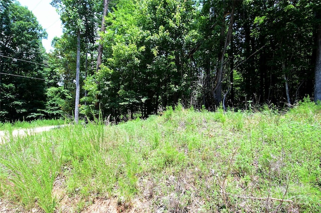 00 Woodchuck Ln Unit 103, Marion, NC 28752 - photo 5
