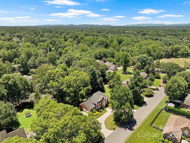 61 38th Ave NW, Hickory, NC 28601 - photo 47