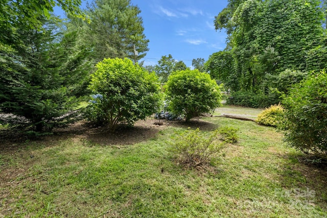 211 Summer St, Swannanoa, NC 28778 - view of green lawn