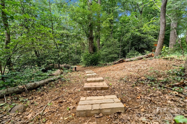 211 Summer St, Swannanoa, NC 28778 - view of yard featuring a view of trees