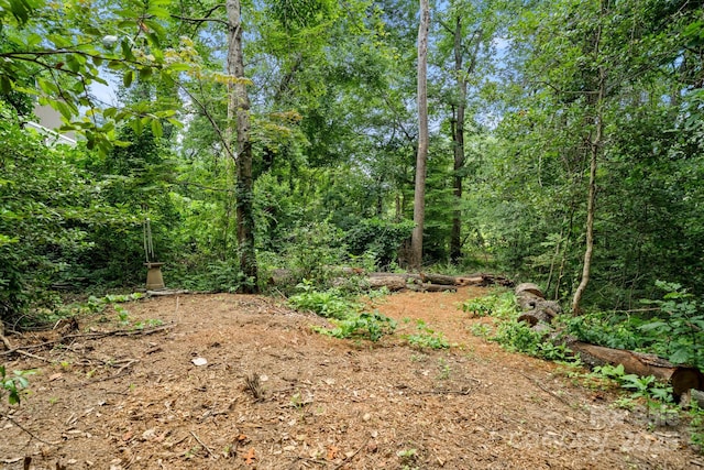211 Summer St, Swannanoa, NC 28778 - view of woods